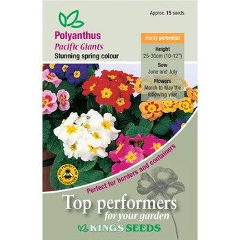 Kings Seeds Polyanthus, Pacific Giants (PM F)