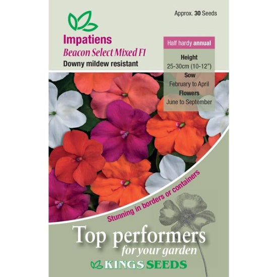 Kings Seeds Impatiens, Beacon Select Mixed F1 (PM - G )