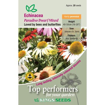 Kings Seeds Echinacea, Paradiso Dwarf Mixed (PM F)