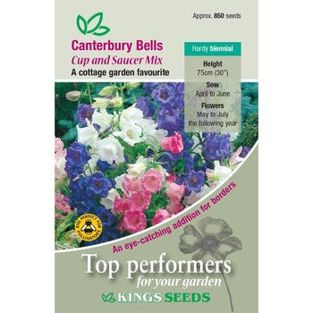 Kings Seeds Canterbury Bells, Cup and Saucer Mix (PM C)