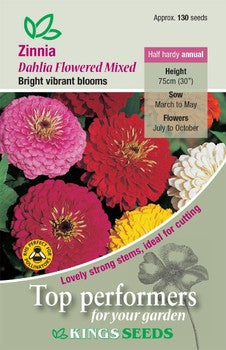 Kings Seeds Zinnia, Dahlia Flowered Mixed (PM D )