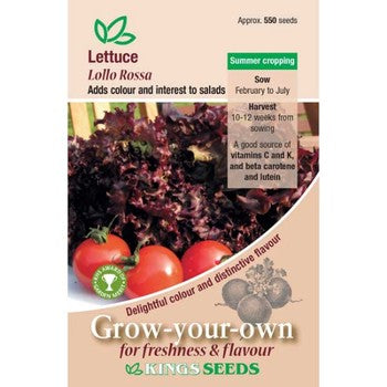 Kings Seeds Lettuce, Lollo Rossa (PM A )