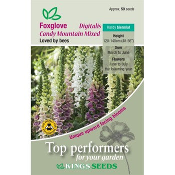 Kings Seeds Foxglove, Digitalis Candy  Mountain Mixed (PM E)