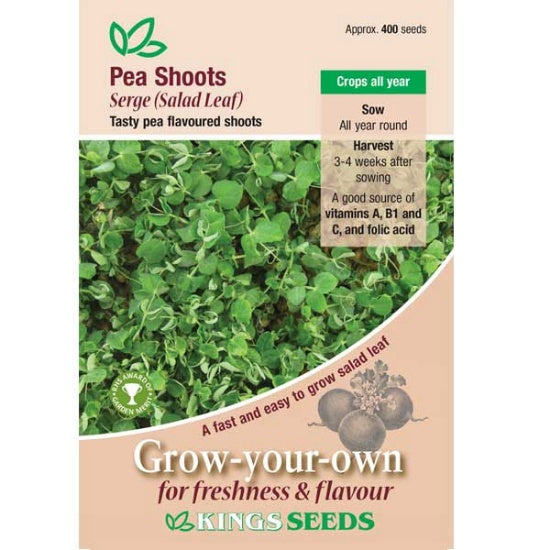 Kings Seeds Pea Shoots, Serge(Salad Leaf) (PM H )
