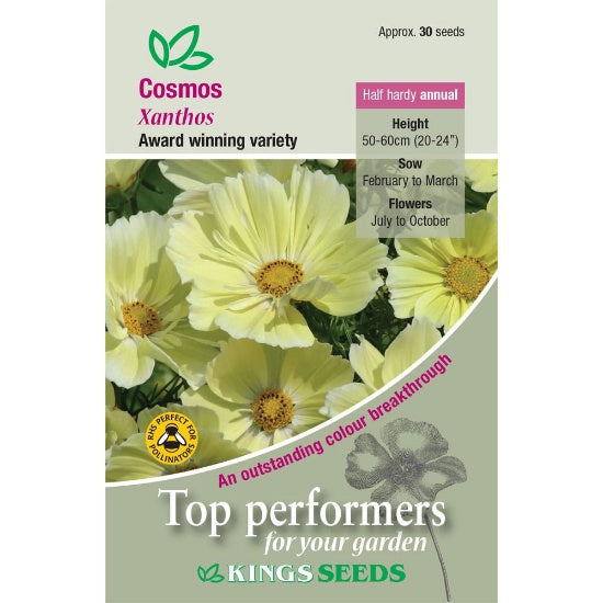 Kings Seeds Cosmos, Xanthos (PM F)