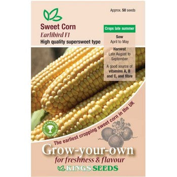 Kings Seeds Sweet Corn, Earlibird F1 (PM B )