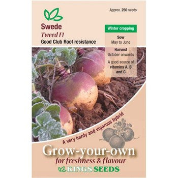 Kings Seeds Swede, Tweed F1 (PM B )
