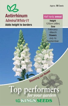 Kings Seeds Antirrhinum, Admiral White F1 (PM D)