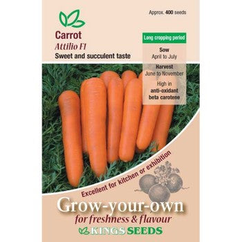 Kings Seeds Carrot, Attilo F1 (PM B)