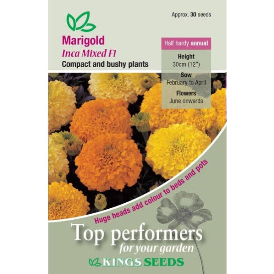 Kings Seeds Marigold, Inca Mixed F1 (PM H)