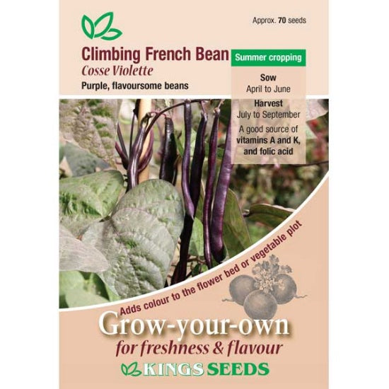Kings Seeds Climbing French Bean, Cosse Violette (PM F )