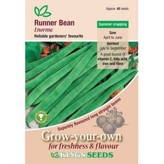 Kings Seeds Runner Bean, Enorma (PM H)
