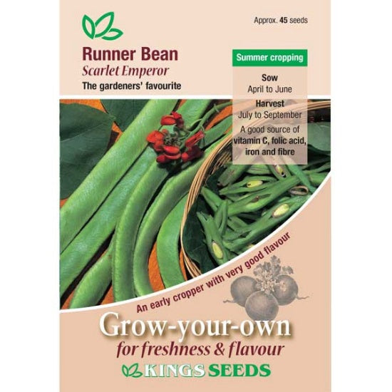 Kings Seeds Runner Bean, Scarlet Emperor (PM F)