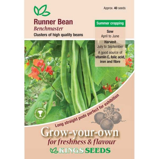 Kings Seeds Runner Bean, Benchmaster (PM H)