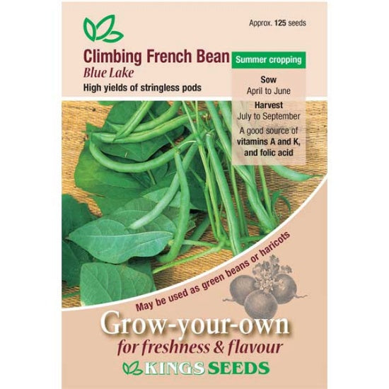 Kings Seeds Climbing French Bean, Blue Lake (PM F )