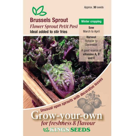 Kings Seeds Brussels Sprout, Flower Sprout Petit Posi  ( PM F )