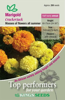 Kings Seeds Marigold, Crackerjack (PM C)