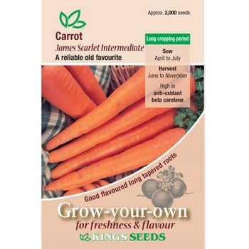Kings Seeds Carrot, James Scarlet Intermediate (PM B)