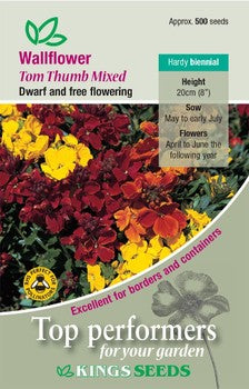 Kings Seeds Wallflower, Tom Thumb Mixed (PM D )