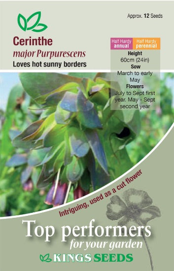 Kings Seeds Cerinthe, Major Purpurescens (PM F)