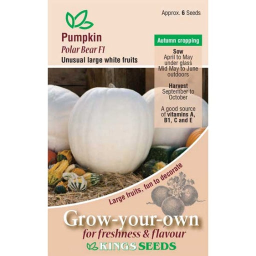 Kings seeds Pumpkin, Polar Bear F1 (PM F )