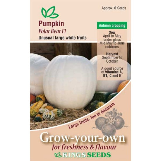 Kings seeds Pumpkin, Polar Bear F1 (PM F )