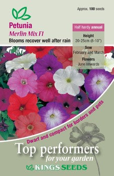 Kings Seeds Petunia, Merlin Mix F1 (PM H)