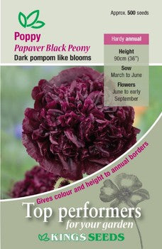 Kings Seeds Poppy, Papaver Black Peony (PM C)