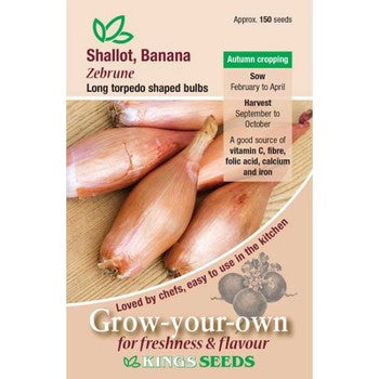 Kings Seeds Shallot, Zebrune ( PM B )