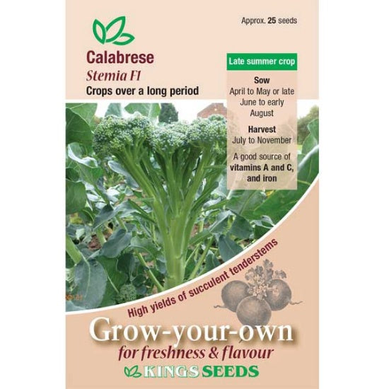 Kings Seeds Calabrese, Stemia (PM F)