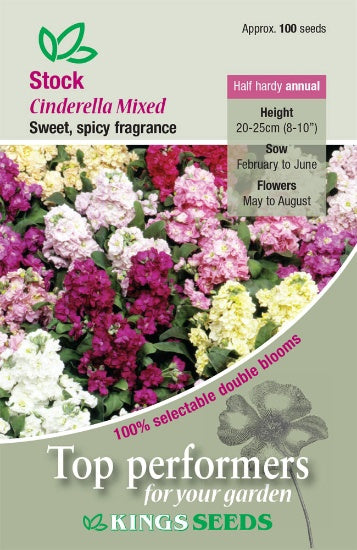 Kings Seeds Stock, Cinderella Mixed (PM F )