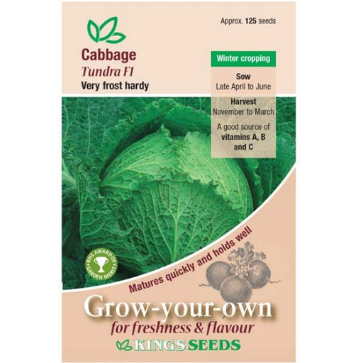 Kings Seeds Cabbage, Tundra F1 (PM F)