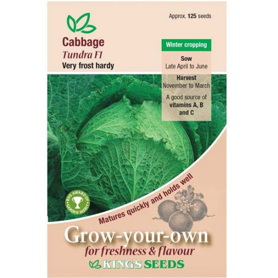 Kings Seeds Cabbage, Tundra F1 (PM F)