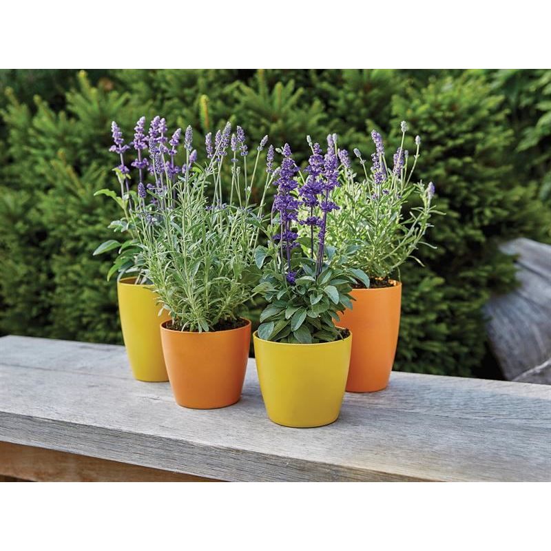 Ronseal Garden Paint Sundial 250ml Ronseal - RockBottom Nothampton