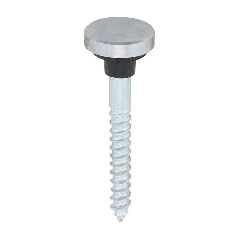 TIMCO Mirror Screws — Trade Pack