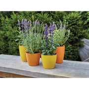 Ronseal Garden Paint Sundial 750ml Ronseal - RockBottom Nothampton