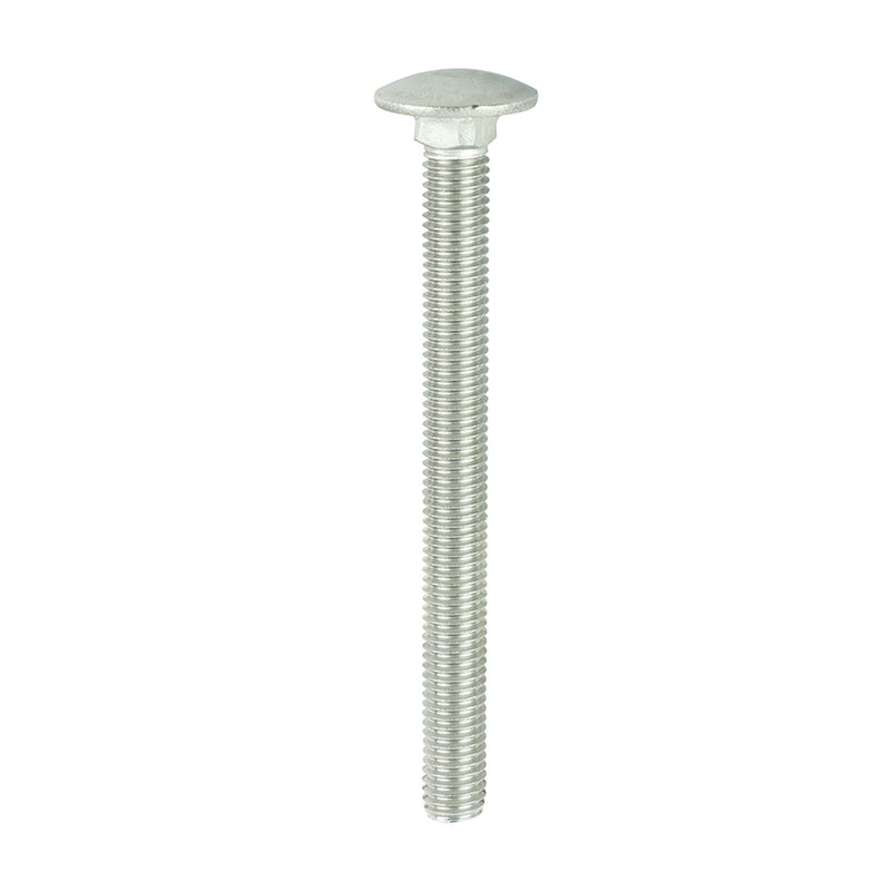 TIMCO Carriage Bolts DIN603 A2 Stainless Steel - M10 x 100