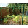 Apollo Netting Stakes 1m
