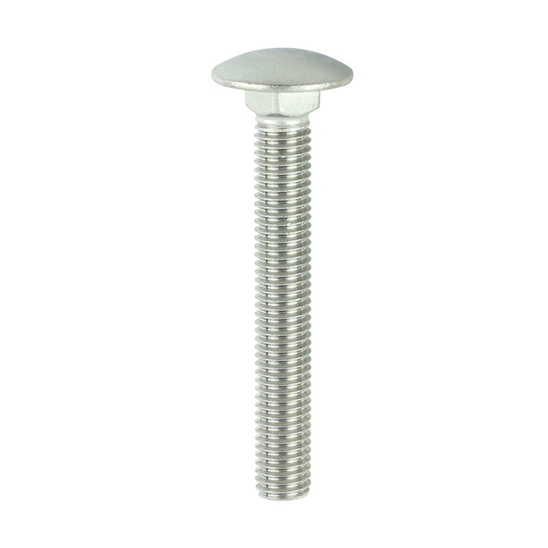 TIMCO Carriage Bolts DIN603 A2 Stainless Steel - M10 x 100