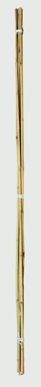 Ambassador Bamboo Canes 3' Pack 20