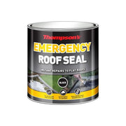 Ronseal Thompson's Emergency Roof Seal 2.5 litre Ronseal - RockBottom Nothampton