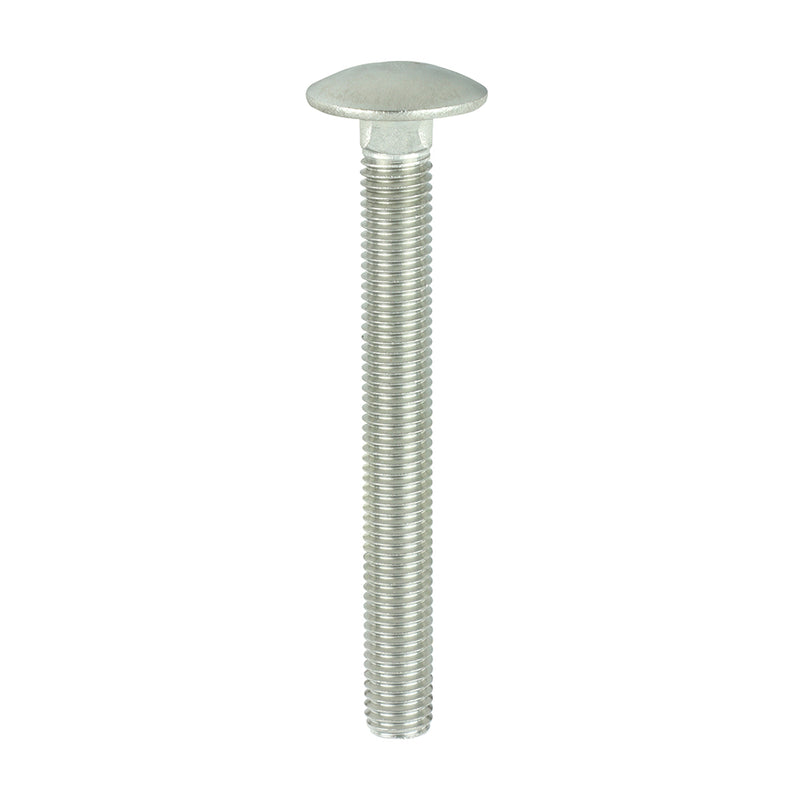 TIMCO Carriage Bolts DIN603 A2 Stainless Steel - M10 x 100