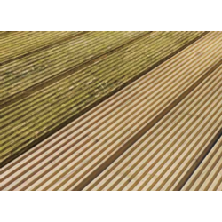 Ronseal Decking Cleaner & Reviver 5L Ready To Use