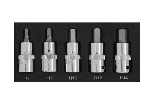 Blue Spot Tools 5 PCE 1/2" Hex Bit Set (H7-H14) (EVA FOAM)