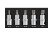 Blue Spot Tools 5 PCE 1/2" Spline Bit Set (M10-M18) (EVA FOAM)