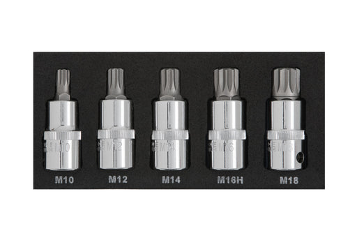 Blue Spot Tools 5 PCE 1/2" Spline Bit Set (M10-M18) (EVA FOAM)