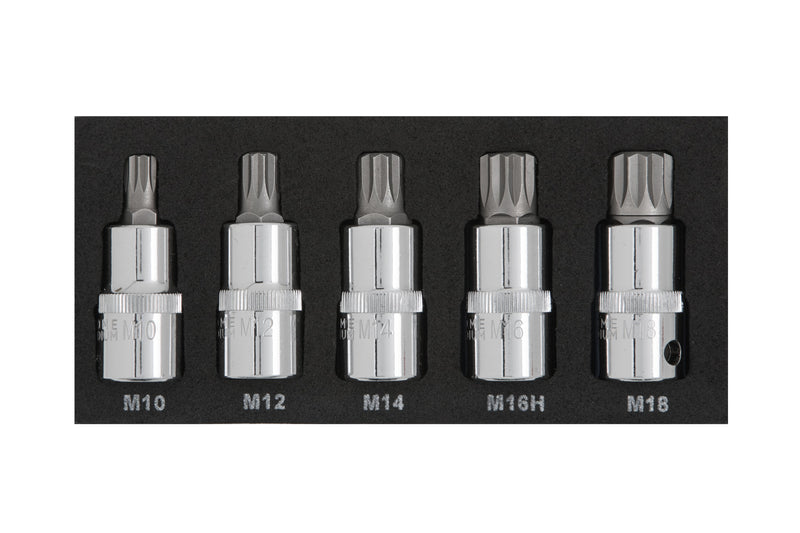 Blue Spot Tools 5 PCE 1/2" Spline Bit Set (M10-M18) (EVA FOAM)