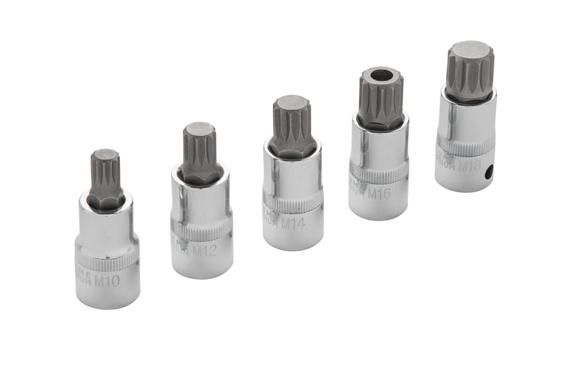 Blue Spot Tools 5 PCE 1/2" Spline Bit Set (M10-M18) (EVA FOAM)