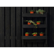 Ronseal Fence Life Plus+ Tudor Black Oak 5 litre Ronseal - RockBottom Nothampton