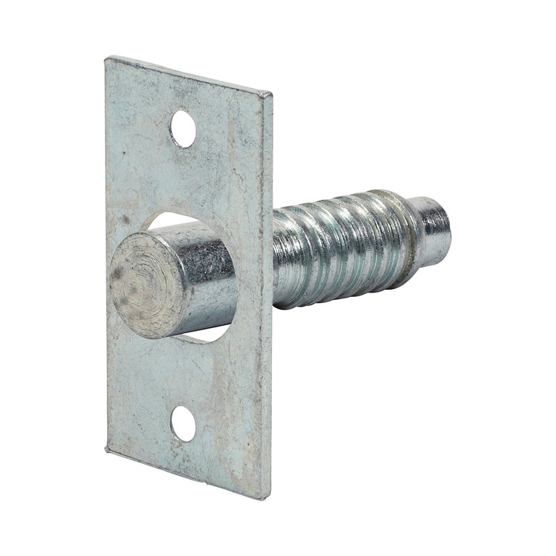 TIMCO Hinge Bolt Electro Brass - 48mm